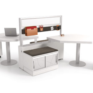 Shared Workspace with Privacy Screen Shared Workspace with Privacy Screen